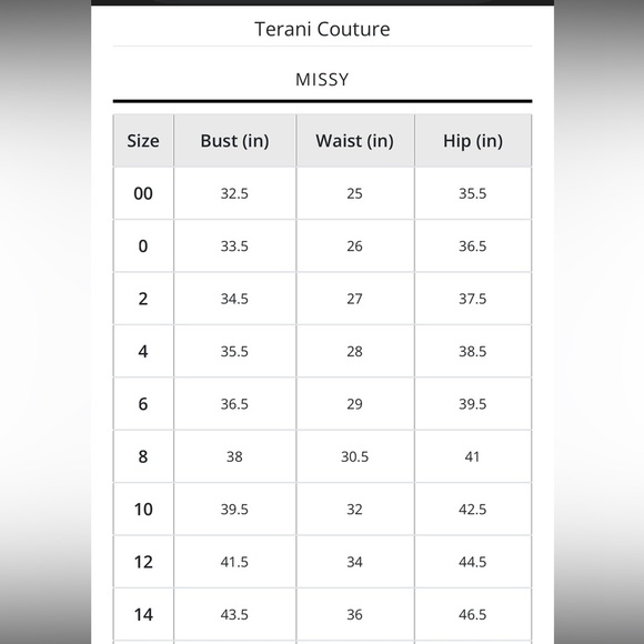 Stunning Gunmetal Gray Gown Embellished: Terani Mermaid Dress, Size 2 - Picture 17 of 17